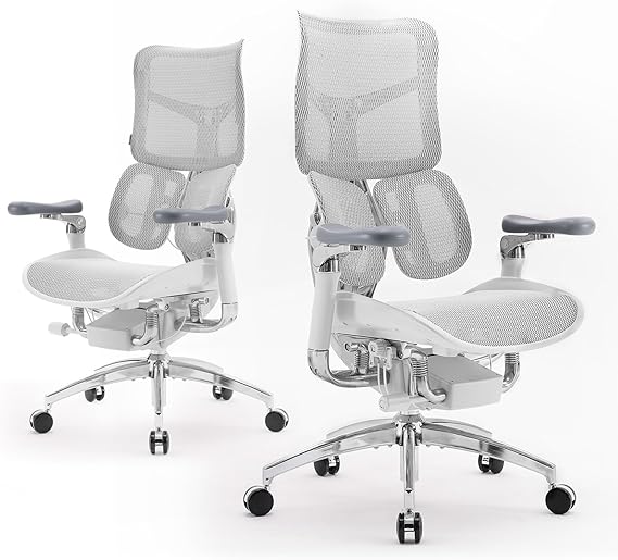 SIHOO Doro S300 Ergonomic Office Chair, Computer Chair, Gaming Chair with Dual Dynamic Lumbar Support, 6D Coordinated Armrests, Adjustable Rolling Chair (White Italian Velvet Mesh)